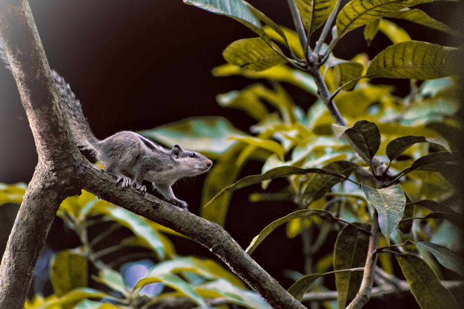 Stay in Indonesia’s Hidden Jungle Villas Surrounded by Nature