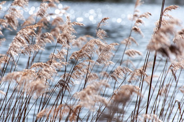 Austrian lake resorts for reflective water and winter-soft stillness
