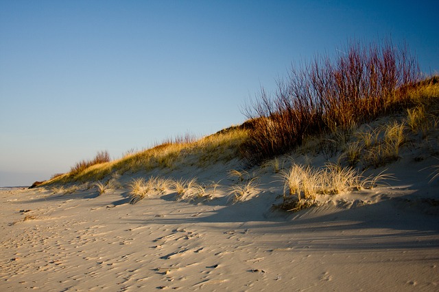 Curonian dune resorts for wind-soft coastlines and meditative silence