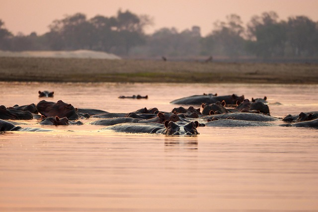 Golden-river escapes in Zambia for soft adventure and sunset reflections