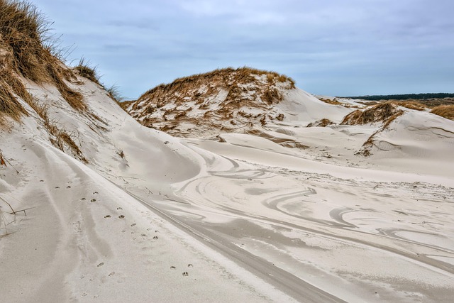 José Ignacio Villas for Understated Coastal Wealth and Windy Dune Calm