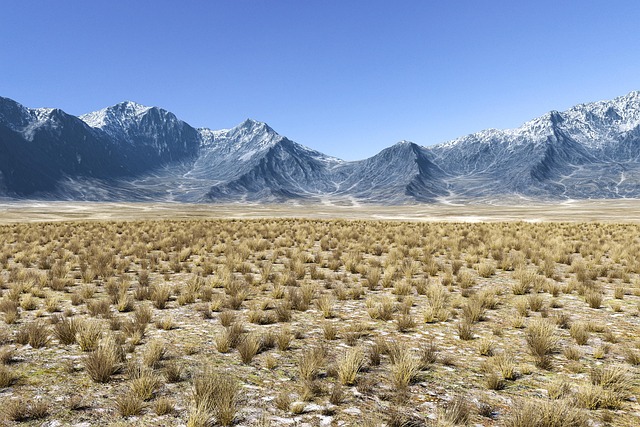 Mongolian steppe resorts for open horizons and rare silence