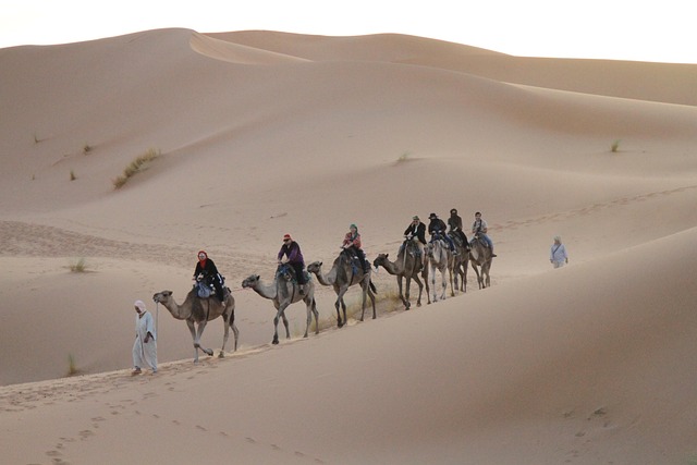 Moroccan desert resorts where silence becomes the indulgence