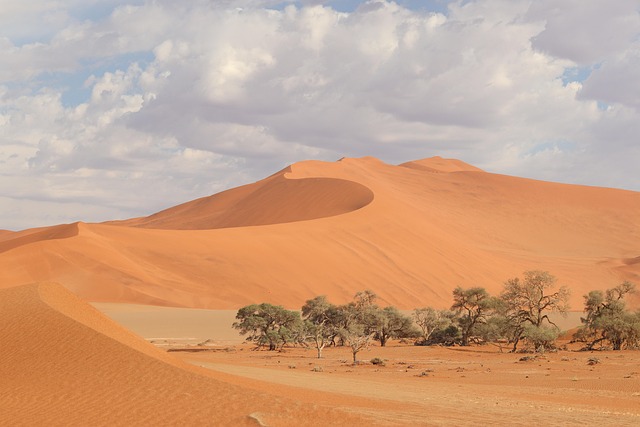 Namib dune resorts where starlight and silence become the luxury