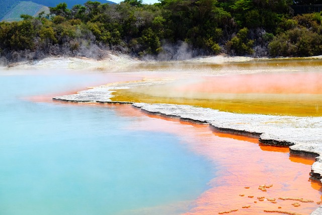 Rotorua Quarters for Geothermal Warmth and Green Rest
